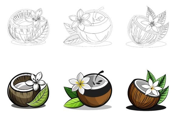 Coconut Fruit Cracked: A Visual Journey into Nature's Tropical Treasure
