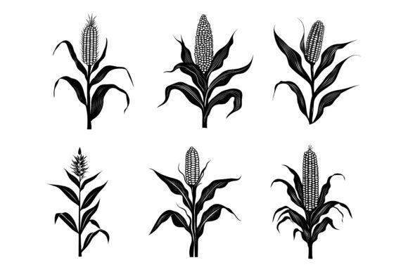 Corn Stalk Vector Bundle: Nature-Inspired Graphics That Work Across Every Project