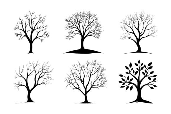 Evaluating Tree Silhouette Isolated Vector Collections for Your Design Projects