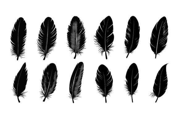 Fluffy Feather Silhouettes Vector: Soft Elegance