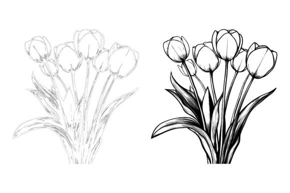 Hand Drawn Tulip Illustration Guide