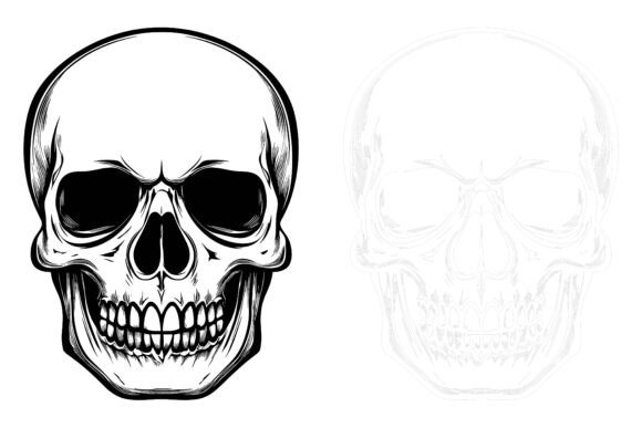 The Enduring Appeal of Anatomical Art: A Deep Dive Into the Human Skulls Collection