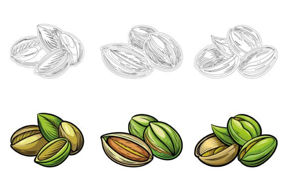 The Visual Power of Pistachios: Elevating Design with the Pistachios Set