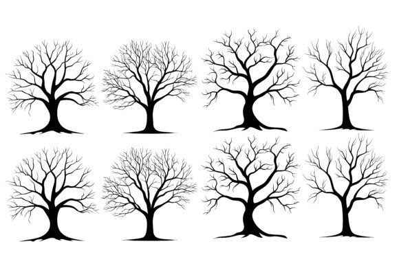 Tree Branch on White Background in Professional Design Workflows
