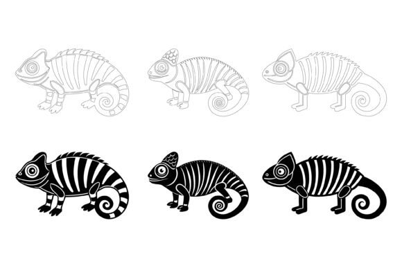 Understanding Chameleon Lizards and Choosing the Right Digital Illustrations for Your Projects